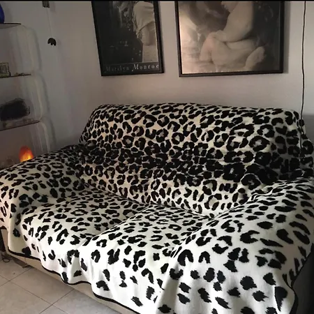 Dama D'elx Quarto em Acomodações Particulares