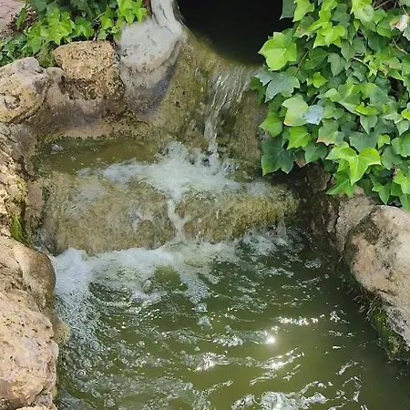 ホームステイ Dama D'elx