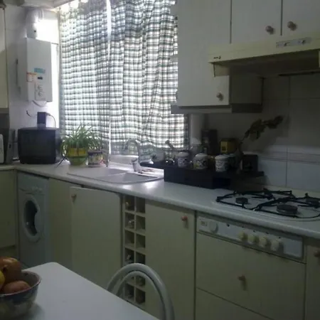 Проживание в семье Dama D'elx Эльче