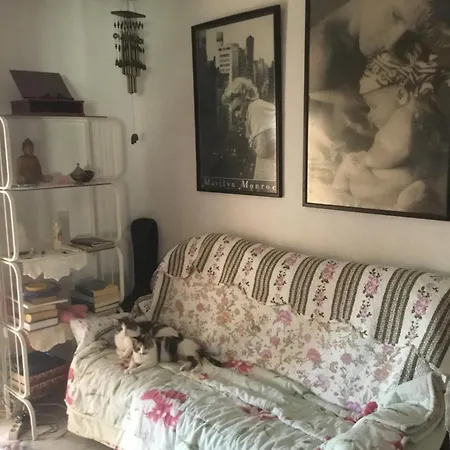 Dama D'elx Проживание в семье Эльче