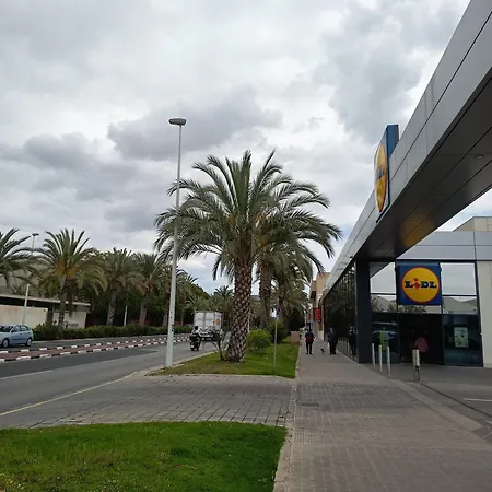 Проживание в семье Dama D'elx