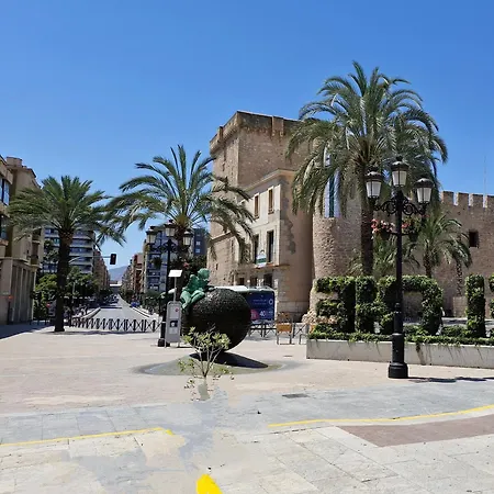 Проживание в семье Dama D'elx *