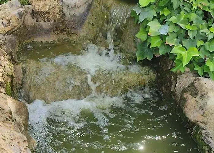 Kwatera prywatna Dama D'elx