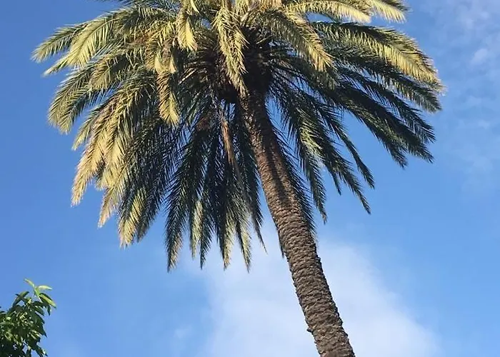 Dama D'elx Kwatera prywatna *